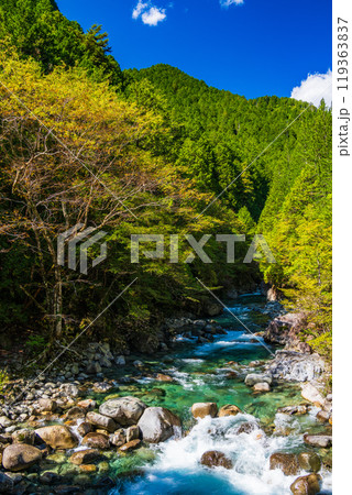 【長野県】阿寺渓谷　六段の滝付近 119363837