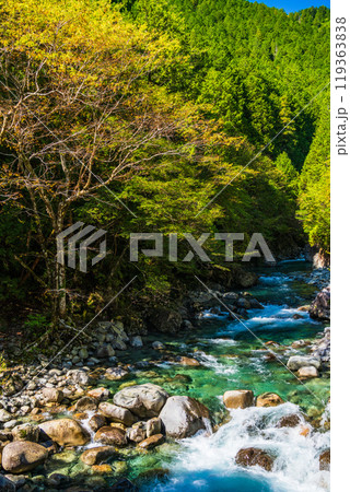 【長野県】阿寺渓谷　六段の滝付近 119363838