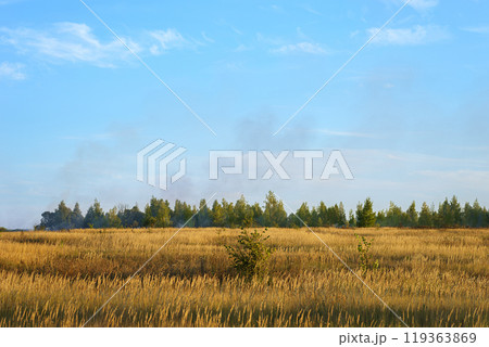 A fire burning a farmer's sugar cane A fire burning a farmer's sugar cane 119363869