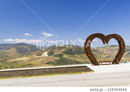viewpoint on vineyard near Pinhao, Alto Douro, Portugal 119364048