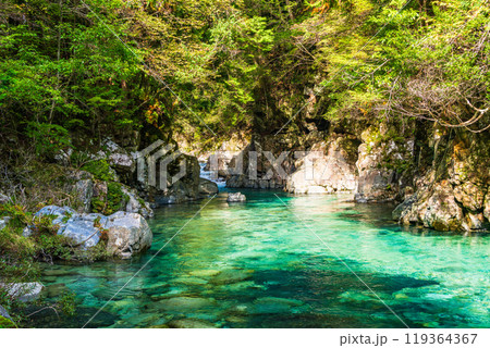 【長野県】阿寺渓谷　六段の滝付近 119364367