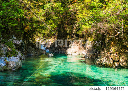 【長野県】阿寺渓谷　六段の滝付近 119364373