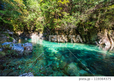 【長野県】阿寺渓谷　六段の滝付近 119364375