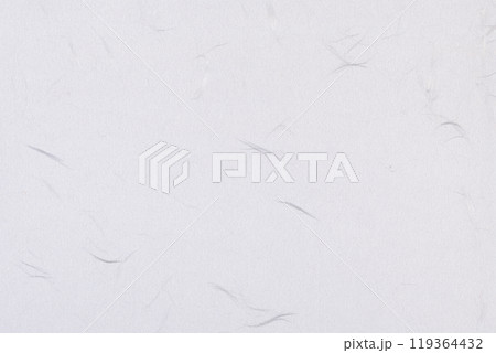 白い大礼紙 白い大礼紙 119364432