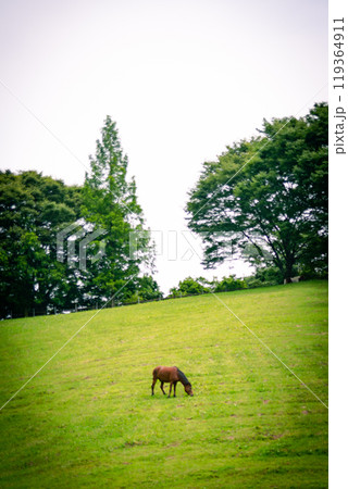 馬のいる牧場 馬のいる牧場 119364911
