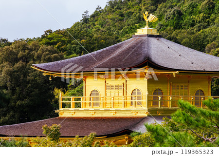 Kinkakuji Temple (The Golden Pavilion) in Kyoto, Japan 119365323