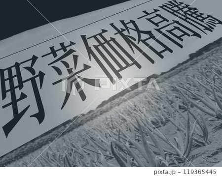 野菜 の 価格 高騰 の 新聞記事 の イメージイラスト 野菜 の 価格 高騰 の 新聞記事 の イメージイラスト 119365445
