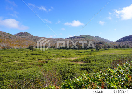 大谷地(ニセコ・神仙沼自然休養林) 大谷地(ニセコ・神仙沼自然休養林) 119365586