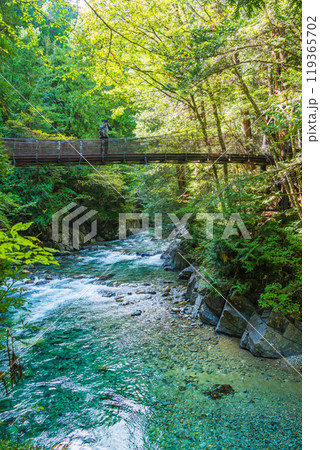 【長野県】阿寺渓谷　赤彦吊り橋 119365702