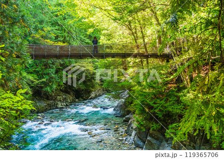 【長野県】阿寺渓谷　赤彦吊り橋 119365706