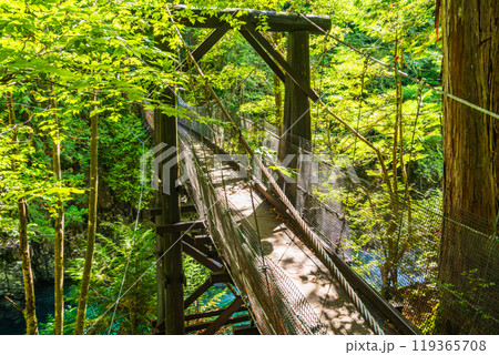 【長野県】阿寺渓谷 赤彦吊り橋 【長野県】阿寺渓谷 赤彦吊り橋 119365708