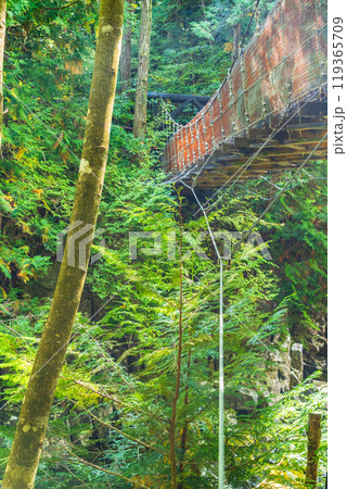 【長野県】阿寺渓谷　赤彦吊り橋 119365709