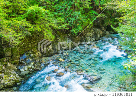 【長野県】阿寺渓谷 赤彦吊り橋付近 【長野県】阿寺渓谷 赤彦吊り橋付近 119365811