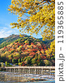 京都嵐山　秋の渡月橋 119365885