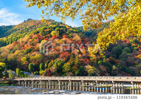 京都嵐山 秋の渡月橋 京都嵐山 秋の渡月橋 119365886