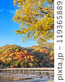 京都嵐山　秋の渡月橋 119365889