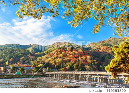 京都嵐山 秋の渡月橋 京都嵐山 秋の渡月橋 119365890
