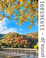 京都嵐山　秋の渡月橋 119365891