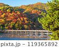 京都嵐山　秋の渡月橋 119365892
