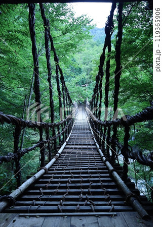 奥祖谷　かずら橋　渓流 119365906