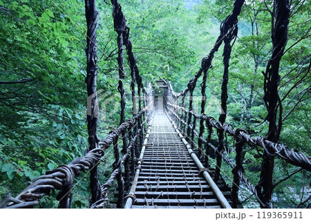 奥祖谷　かずら橋　渓流 119365911