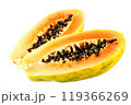Fresh Sliced Papaya Fruit Isolated on a White Background 119366269