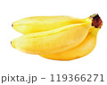 Bunch of Bananas Isolated on White Background 119366271