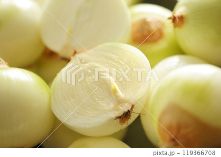 沢山の並べた新鮮な玉ねぎの集合写真 119366708