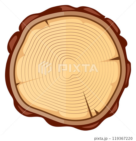 Tree round cut. Cartoon trunk with wooden texture 119367220