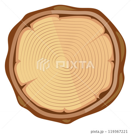 Tree cut with year circles. Wooden trunk section 119367221