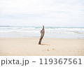 海辺の枝 119367561