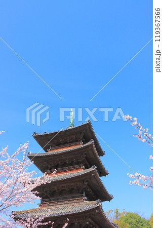 愛知県名古屋市、満開の桜と八事山興正寺五重塔の風景 119367566
