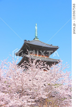 愛知県名古屋市、満開の桜と八事山興正寺五重塔の風景 119367568