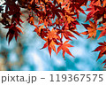 鮮やかな紅葉が彩る秋の風景 119367575