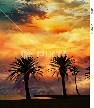 ヤシの木と夕焼け ヤシの木と夕焼け 119368509