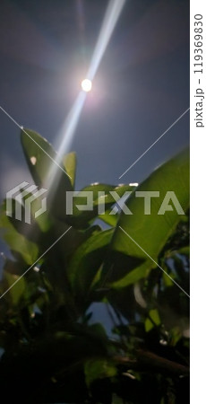 沖縄県 石垣島 スーパームーン 2024年10月17日 沖縄県 石垣島 スーパームーン 2024年10月17日 119369830