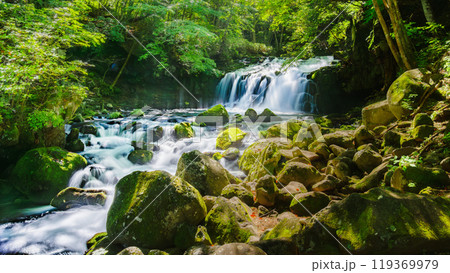 Tateshina-Otaki Falls in Nagano Prefecture, Japan, cascade over large stones and cliffs, blanketed in lush moss nourished by the cool mist rising from the falls. 119369979