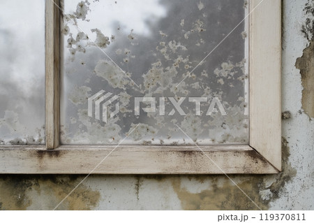 Aged, moldy window with peeling paint, depicting a cold, desolate winter day Aged, moldy window with peeling paint, depicting a cold, desolate winter day 119370811