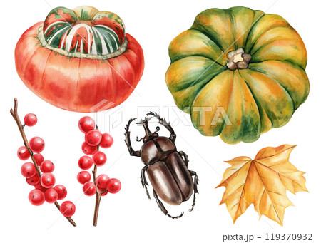 Realistic autumn set pumpkins, red berries, yellow maple leaf and beetle Botanical watercolor illustration for design 119370932