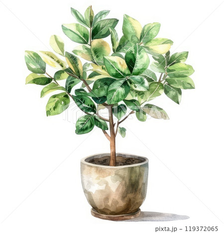 A potted plant with vibrant green leaves on a white background. AI-generated content. 119372065