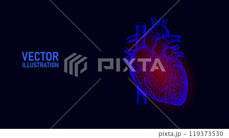 Human healthy heart 3d line art. Ink sketch medicine model. Pulse internal body modern innovative technology vector illustration 119373530