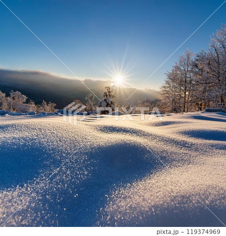 朝日が差し込む中、一晩で降り積もった新雪が一面に広がる風景 朝日が差し込む中、一晩で降り積もった新雪が一面に広がる風景 119374969