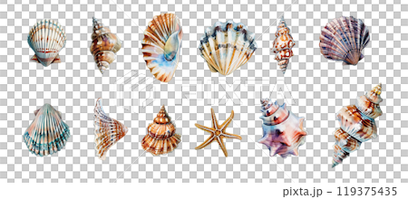 Watercolor seashell set bundle clipart PNG transparent background, isolated graphic resource cutout, summer, vacation, sea shore finds 119375435