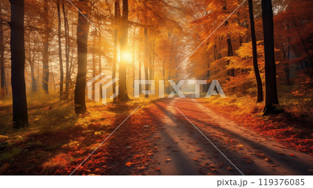 Sunny autumn day in the forest Sunny autumn day in the forest 119376085