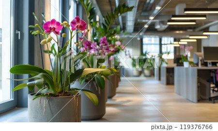 Colorful orchids decorate the office corridor, adding a touch of nature to the contemporary workspace filled with natural light. 119376766