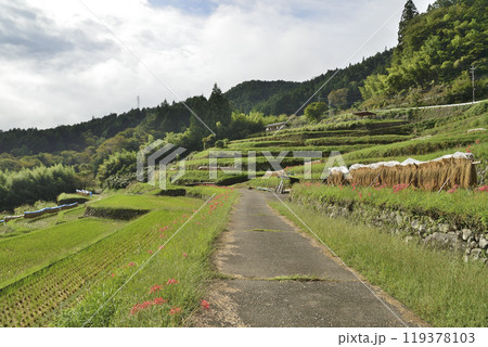 棚田のある風景 棚田のある風景 119378103