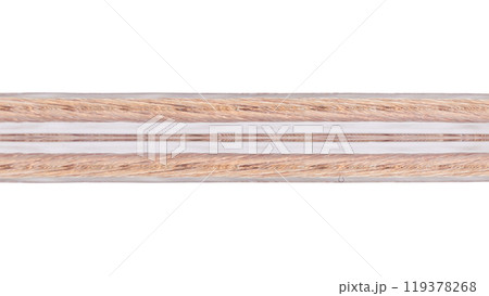 Close Up of Transparent Speaker Wire with Copper Strands 119378268