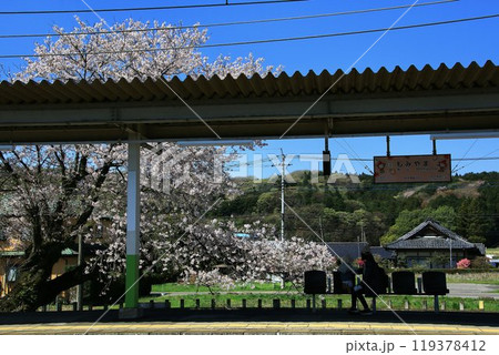 桜咲く春陽の駅… 満開の桜を飾る東武日光線『樅山駅』 119378412