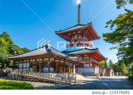 Naritasan Shinshoji, a Shingon Buddhist temple located in Narita, Chiba, Japan Naritasan Shinshoji, a Shingon Buddhist temple located in Narita, Chiba, Japan 119378992