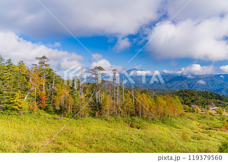 【長野県】木曽 おんたけロープウェイ 眼下の景色 【長野県】木曽 おんたけロープウェイ 眼下の景色 119379560